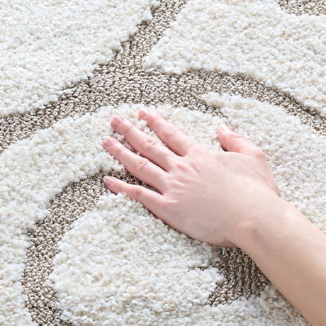 Safavieh Florida Shag 3'-3" x 5'-3" Rug in Ivory / Beige