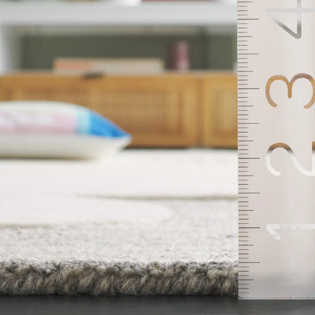 Safavieh Ebony 4'-0" x 6'-0" Rug in Grey / Ivory