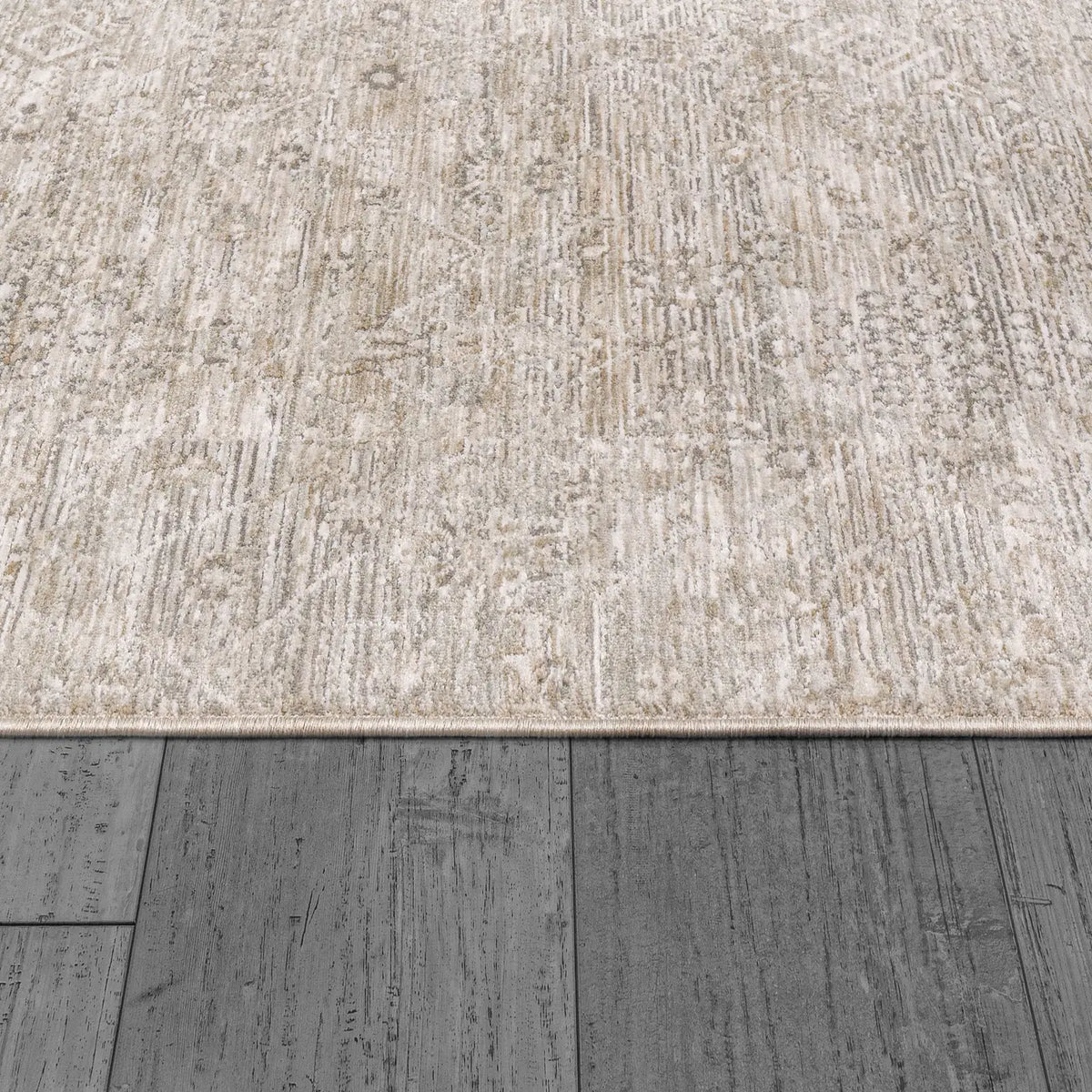 Dynamic Rugs Dharma 12043 Power Loomed Transitional Beige/Multi Rug - Pile