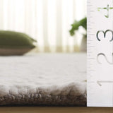 Safavieh Natura 4'-0" x 6'-0" Rug in Beige / Ivory