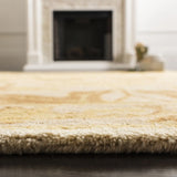 Safavieh Anatolia 5'-0" x 8'-0" Rug in Beige / Gold