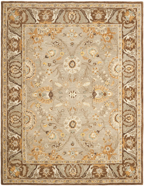 Safavieh Anatolia 9'-6" x 13'-6" Rug in Dark Grey / Brown
