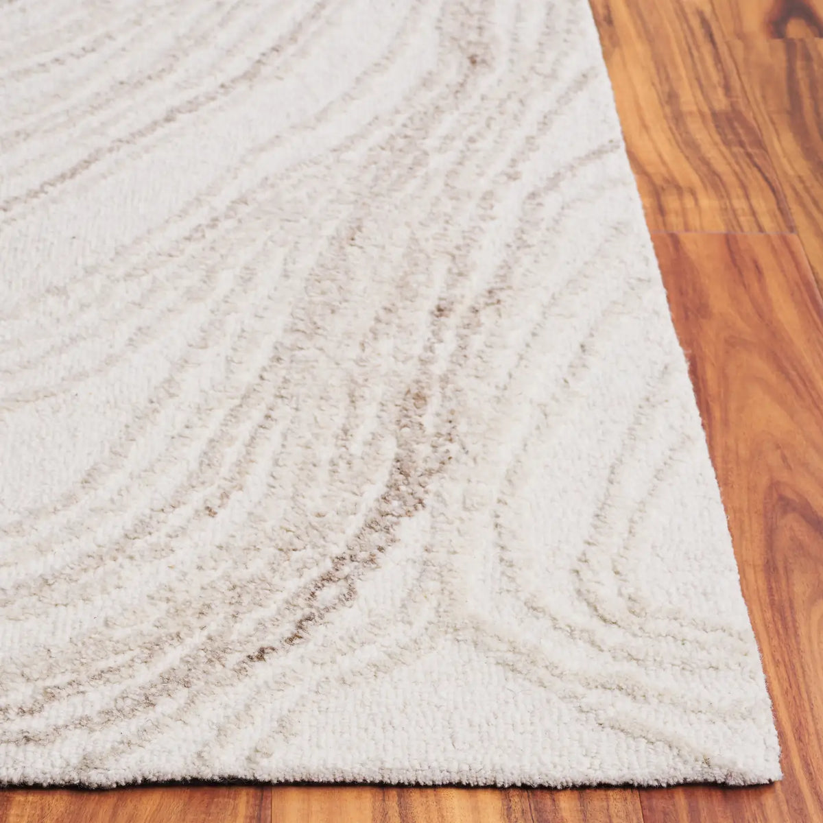 Safavieh Ebony 4'-0" x 6'-0" Rug in Ivory / Beige
