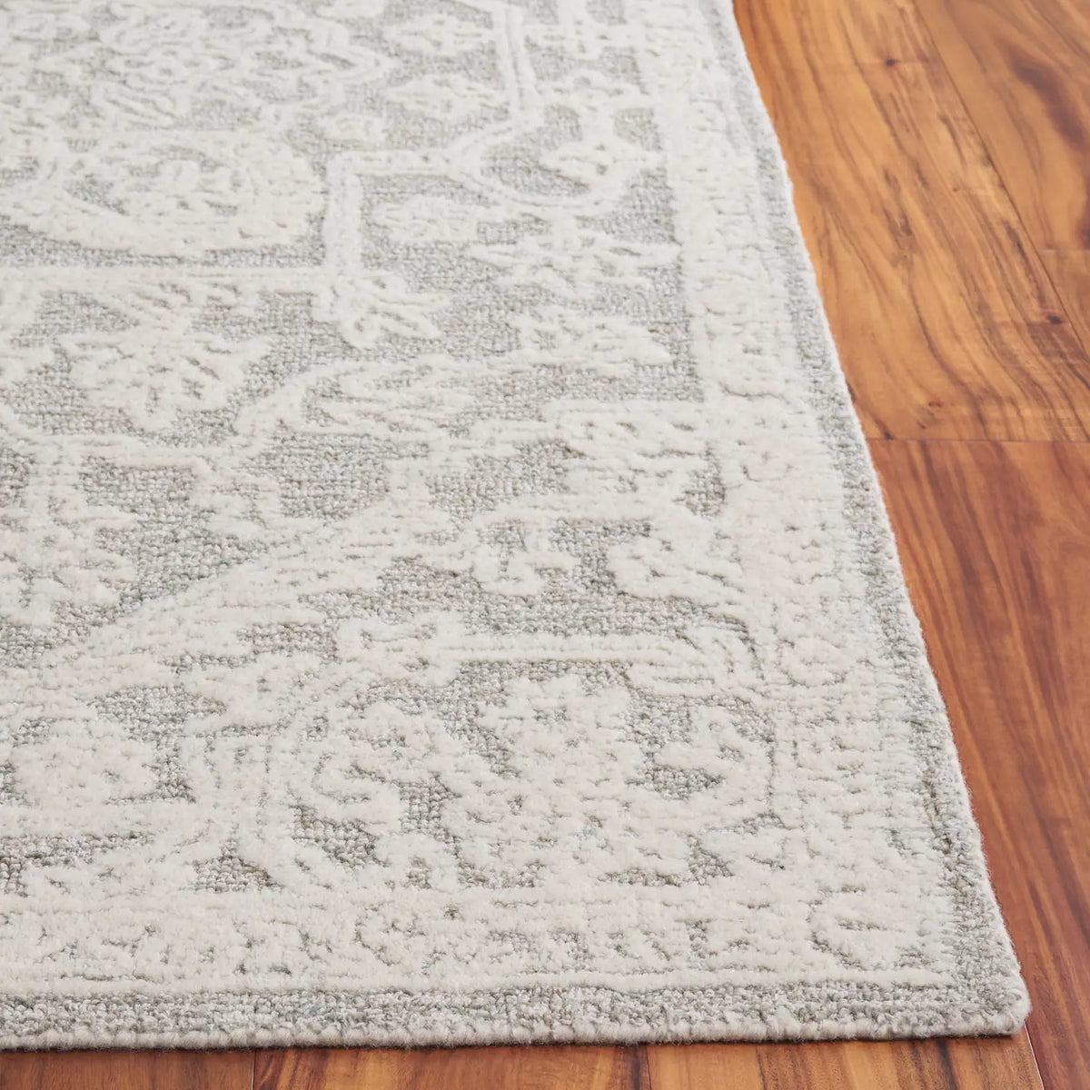 Safavieh Ebony 4'-0" x 6'-0" Rug in Ivory / Grey