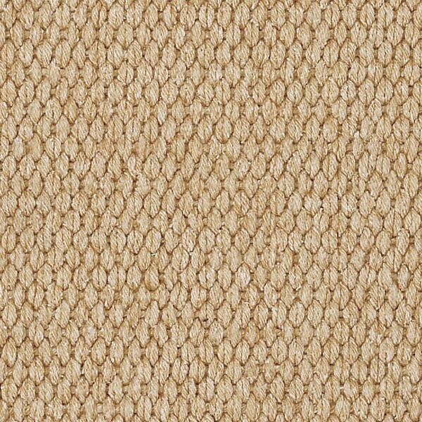 Capel Lawson 0209 Beige Rugs - Capel - 0209rs00240036700