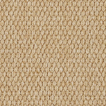 Capel Lawson 0209 Beige Rugs - Capel - 0209rs00240036700