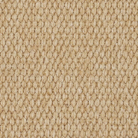 Capel Lawson 0209 Beige Rugs - Capel - 0209rs00240036700