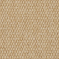 Capel Lawson 0209 Beige Rugs - Capel - 0209rs00240036700