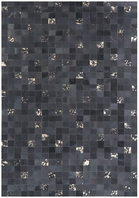 Capel Sundance 3674 Onyx Rug.