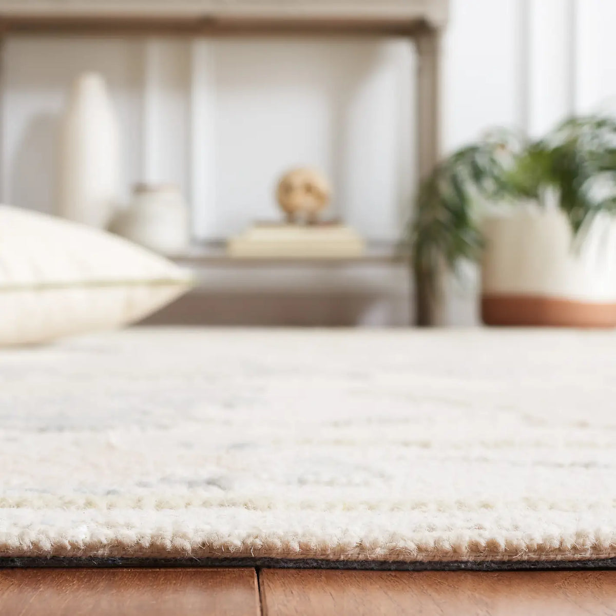 Safavieh Abstract 4'-0" x 6'-0" Rug in Ivory / Beige