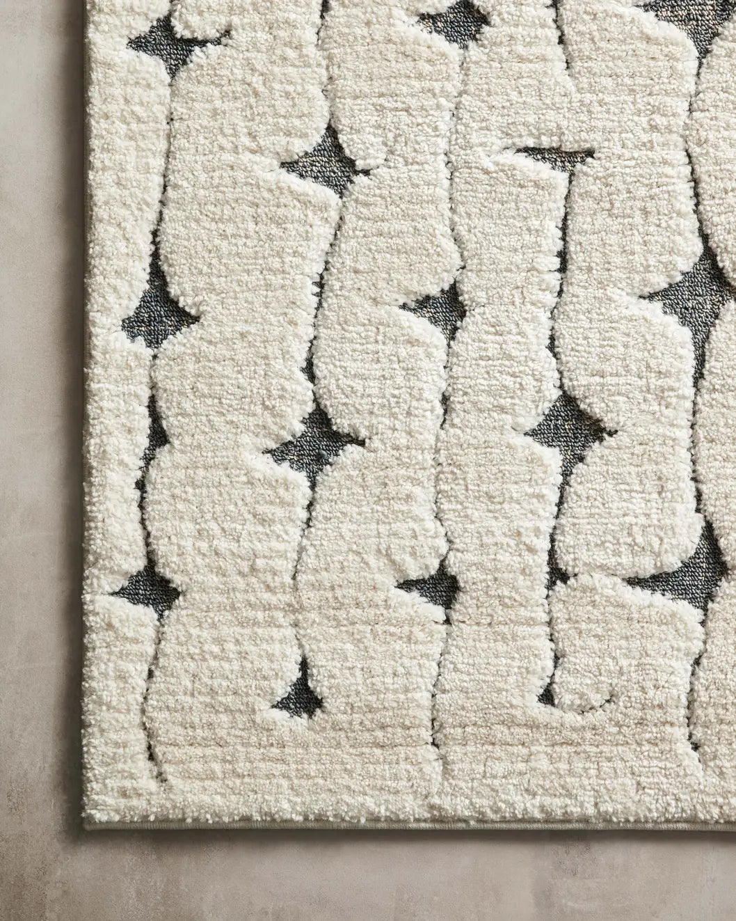 Loloi Hagen Hag-04 White/Navy Rugs - corner on wood