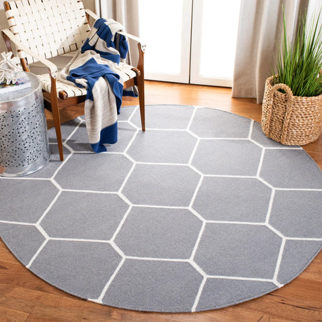 Safavieh Dhurries 6'-0" x 6'-0" Rug in Grey / Ivory