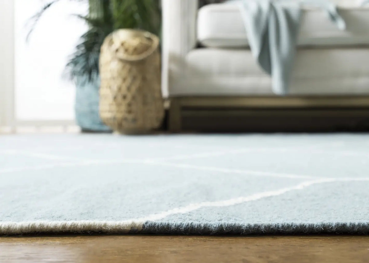Safavieh Dhurries 4'-0" x 6'-0" Rug in Light Blue / Ivory