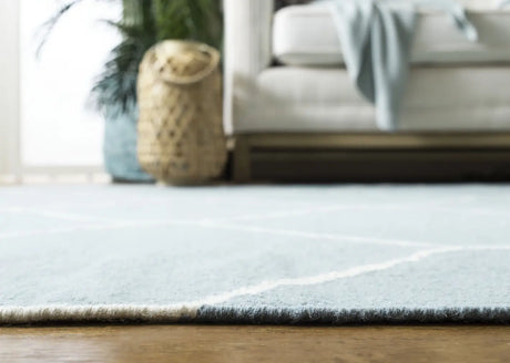 Safavieh Dhurries 4'-0" x 6'-0" Rug in Light Blue / Ivory