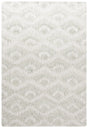 Safavieh Ebony 4'-0" x 6'-0" Rug in Ivory / Light Green
