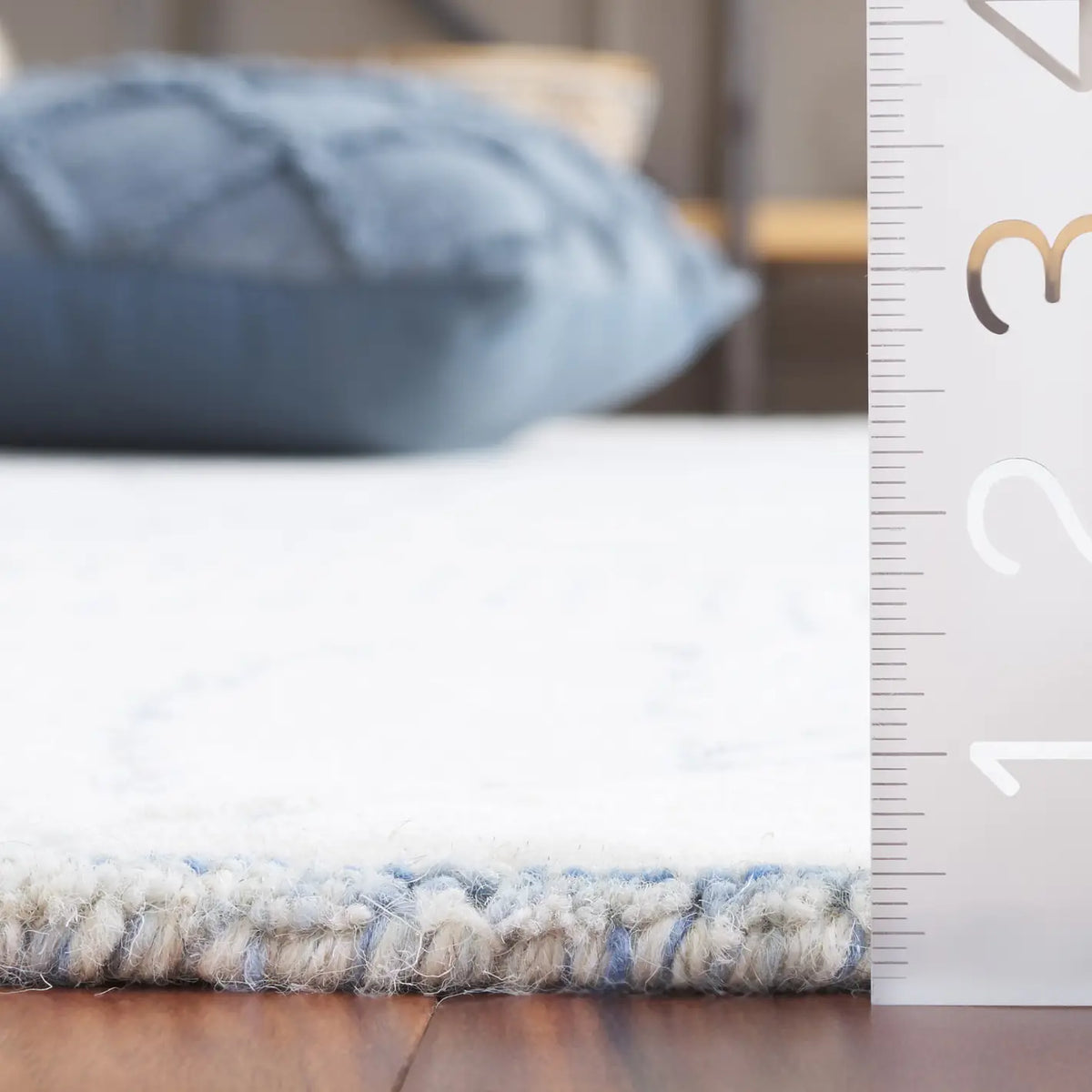 Safavieh Ebony 4'-0" x 6'-0" Rug in Blue / Ivory