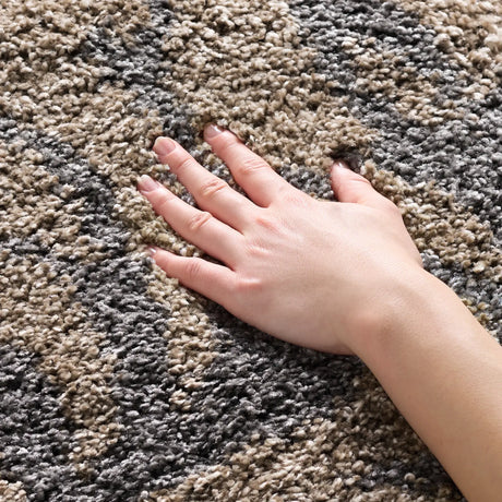 Safavieh Florida Shag 4'-0" x 6'-0" Rug in Grey / Beige