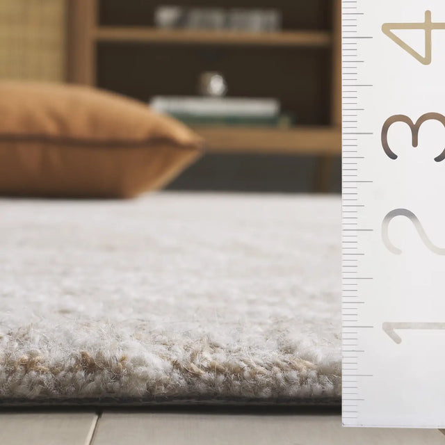 Safavieh Ebony 4'-0" x 6'-0" Rug in Grey / Ivory