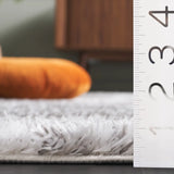 Safavieh Penelope Shag 4'-0" x 6'-0" Rug in Grey / Ivory