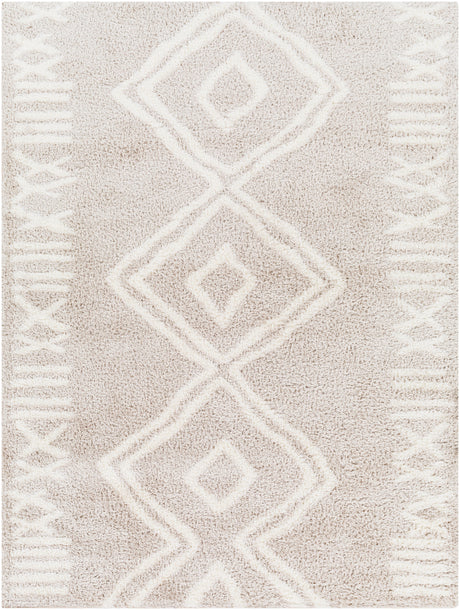 Surya Cloudy Shag Cdg-2311 Beige Rug