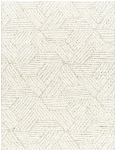 Surya Cloudy Shag Cdg-2319 Off-White, Pearl Rug.