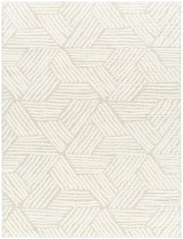 Surya Cloudy Shag Cdg-2319 Off-White, Pearl Rug.