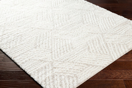 Surya Cloudy Shag Cdg-2319 Off-White, Pearl Rug.