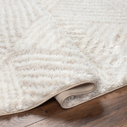 Surya Cloudy Shag Cdg-2319 Off-White, Pearl Area Rug