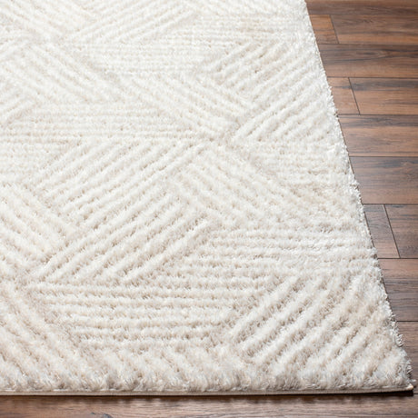 Surya Cloudy Shag Cdg-2319 Off-White, Pearl Rug.