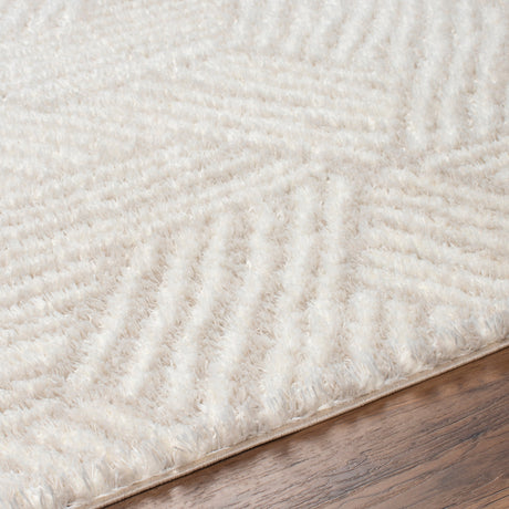 Surya Cloudy Shag Cdg-2319 Off-White, Pearl Rug.