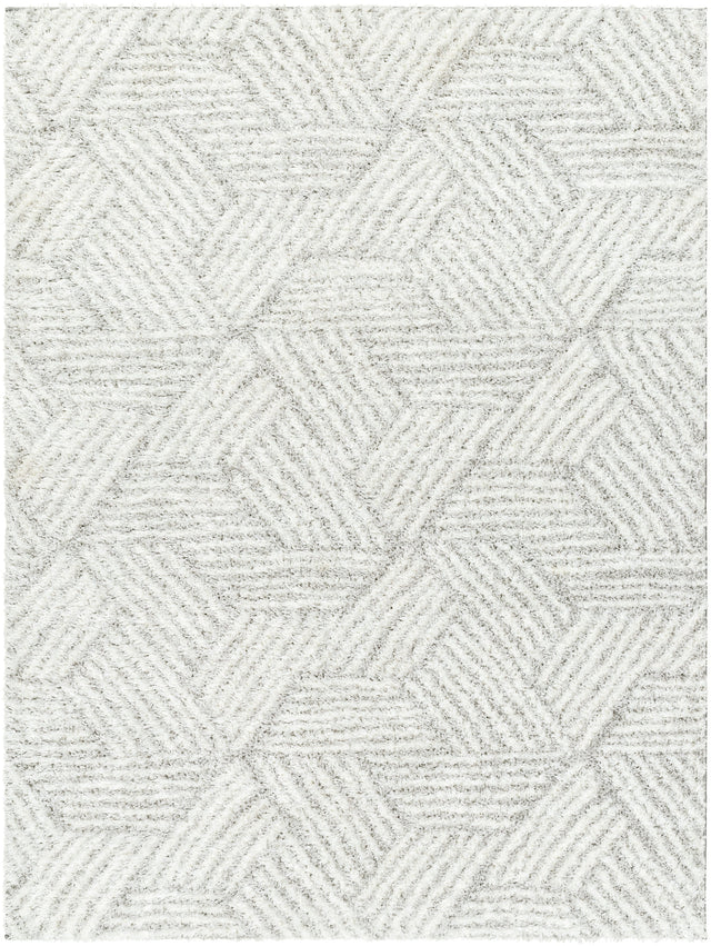 Surya Cloudy Shag Cdg-2320 Off-White, Light Silver, Light Grey, Pale Slate Rug.