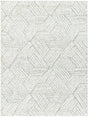 Surya Cloudy Shag Cdg-2320 Off-White, Light Silver, Light Grey, Pale Slate Rug.