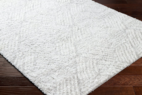 Surya Cloudy Shag Cdg-2320 Off-White, Light Silver, Light Grey, Pale Slate Rug.