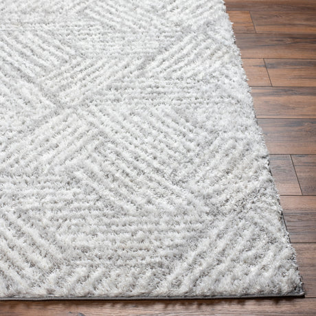 Surya Cloudy Shag Cdg-2320 Off-White, Light Silver, Light Grey, Pale Slate Rug.