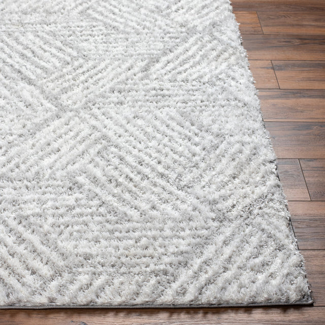 Surya Cloudy Shag Cdg-2320 Off-White, Light Silver, Light Grey, Pale Slate Rug.