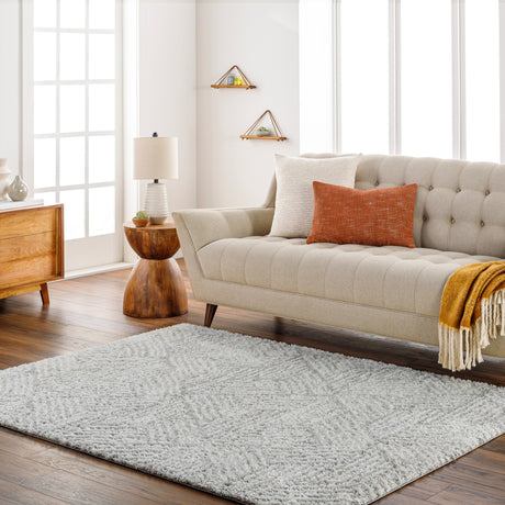 Surya Cloudy Shag Cdg-2320 Off-White, Light Silver, Light Grey, Pale Slate Rug.