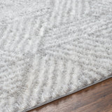 Surya Cloudy Shag Cdg-2320 Off-White, Light Silver, Light Grey, Pale Slate Rug.