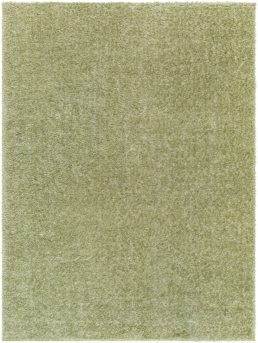 Surya Cloudy Shag Cdg-2322 Sage, Khaki, Nickel Area Rug