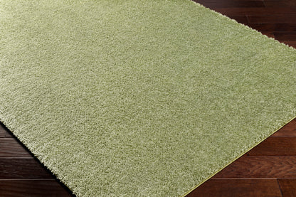 Surya Cloudy Shag Cdg-2322 Sage, Khaki, Nickel Area Rug