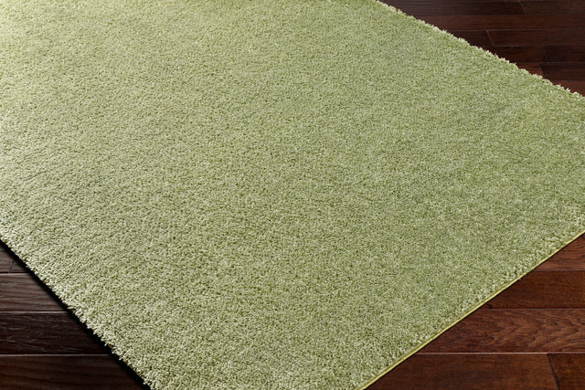 Surya Cloudy Shag Cdg-2322 Sage, Khaki, Nickel Rug.