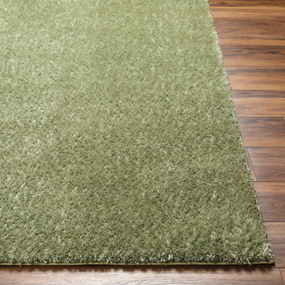 Surya Cloudy Shag Cdg-2322 Sage, Khaki, Nickel Area Rug