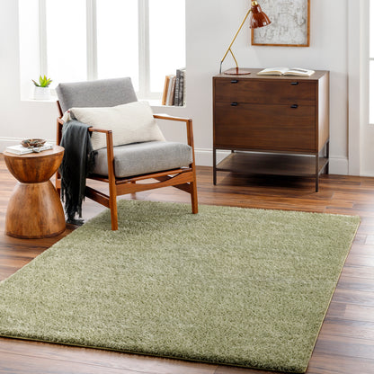 Surya Cloudy Shag Cdg-2322 Sage, Khaki, Nickel Area Rug