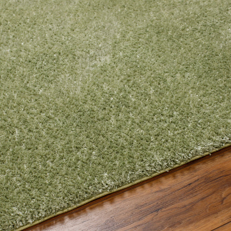 Surya Cloudy Shag Cdg-2322 Sage, Khaki, Nickel Rug.