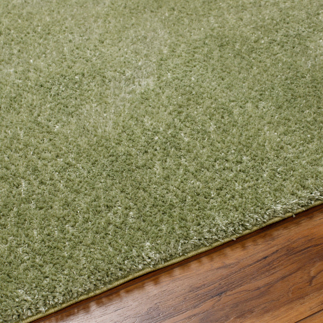 Surya Cloudy Shag Cdg-2322 Sage, Khaki, Nickel Rug.