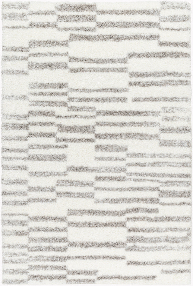 Surya Cloudy Shag Cdg-2328 Off-White, Light Silver, Pale Slate, Metallic - Silver, Ash Rug.