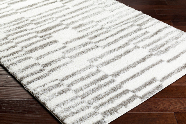 Surya Cloudy Shag Cdg-2328 Off-White, Light Silver, Pale Slate, Metallic - Silver, Ash Rug.