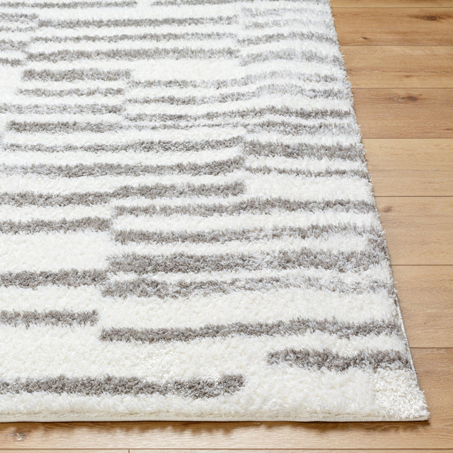 Surya Cloudy Shag Cdg-2328 Off-White, Light Silver, Pale Slate, Metallic - Silver, Ash Rug.