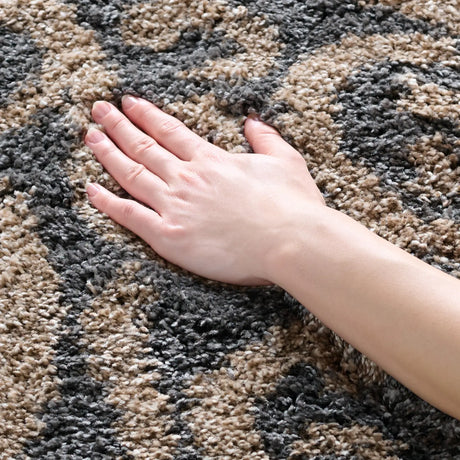 Safavieh Florida Shag 4'-0" x 6'-0" Rug in Grey / Beige