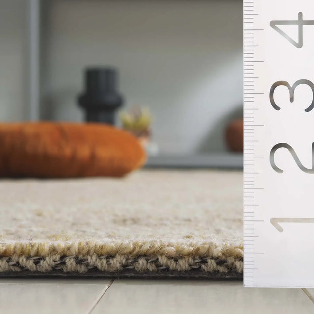 Safavieh Trace 4'-0" x 6'-0" Rug in Beige / Black