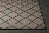 Chandra Aarushi AAR-44003 Tan and Green rug, corner detail